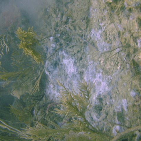 DSC05580 DSC05580