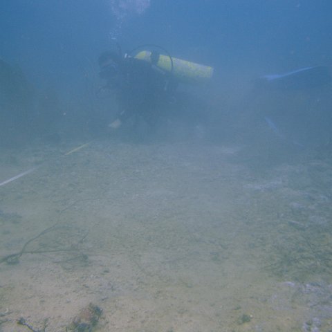 DSC05581 DSC05581