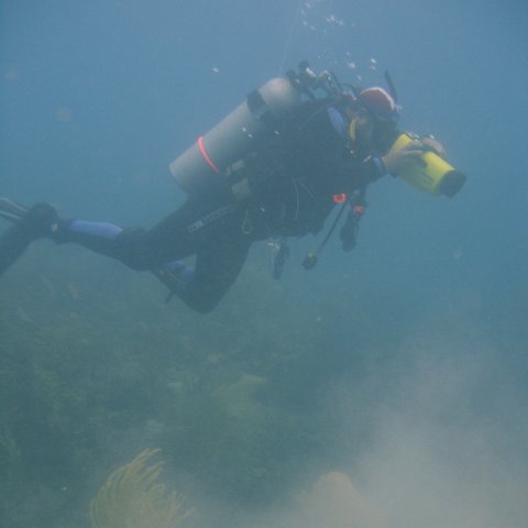 DSC05582 DSC05582