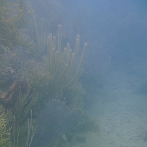 DSC05583 DSC05583