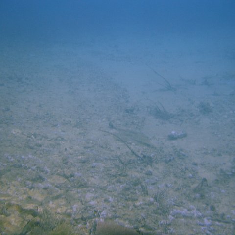 DSC05586 DSC05586