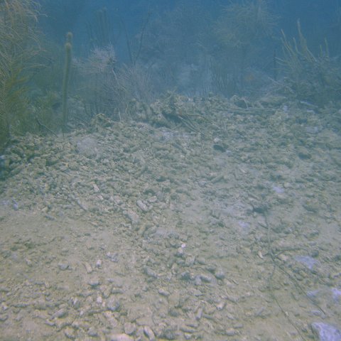 DSC05587 DSC05587