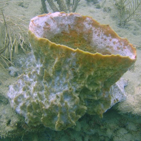 DSC05590 DSC05590