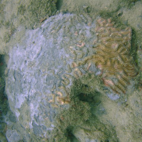 DSC05592 DSC05592