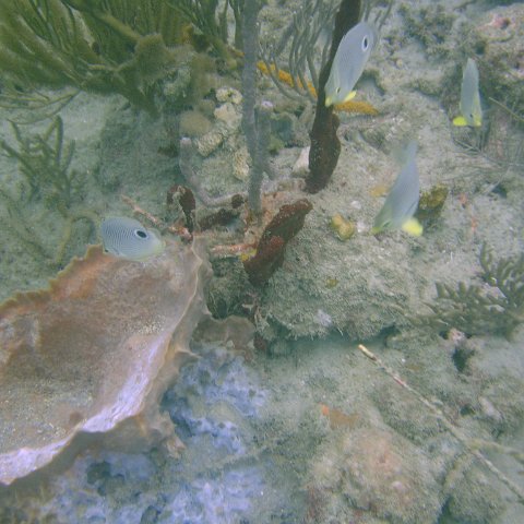 DSC05593 DSC05593