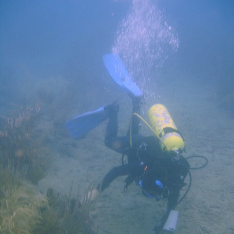 DSC05595 DSC05595