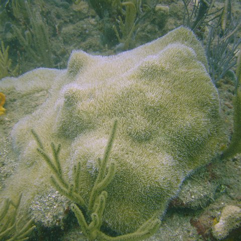 DSC05597 DSC05597