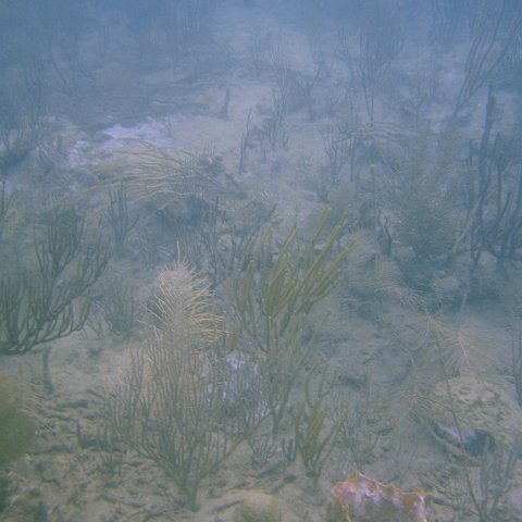 DSC05600 DSC05600