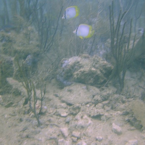 DSC05604 DSC05604