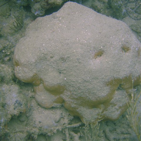 DSC05605 DSC05605