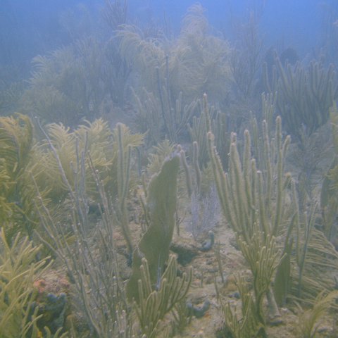 DSC05613 DSC05613
