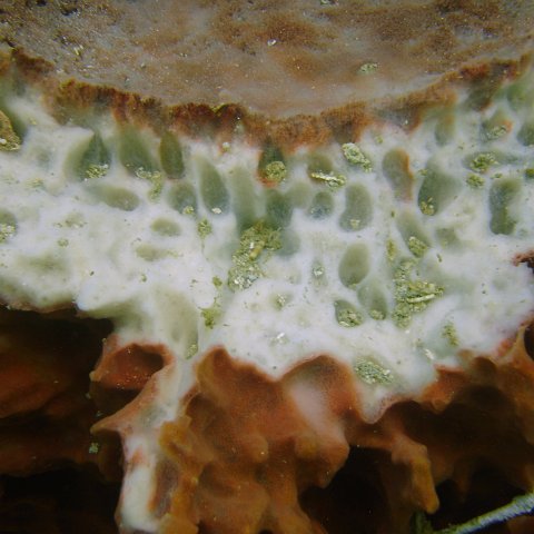 DSC05620 DSC05620