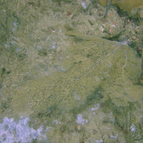 DSC05624 DSC05624