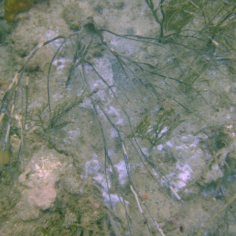 DSC05625 DSC05625