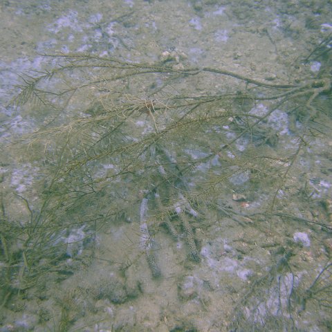 DSC05628 DSC05628