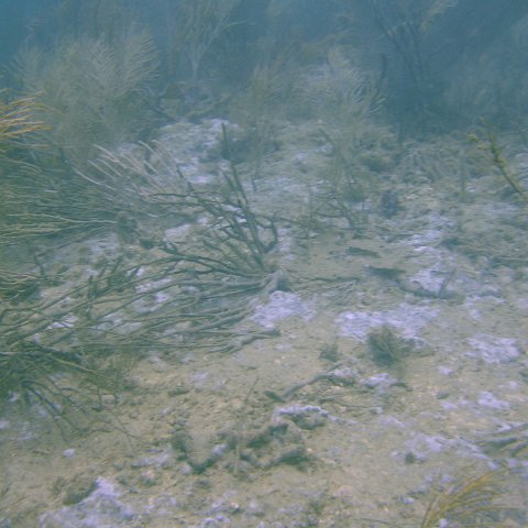DSC05629 DSC05629