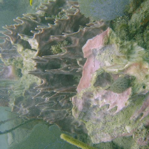 DSC05630 DSC05630