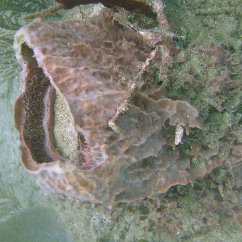 DSC05633 DSC05633