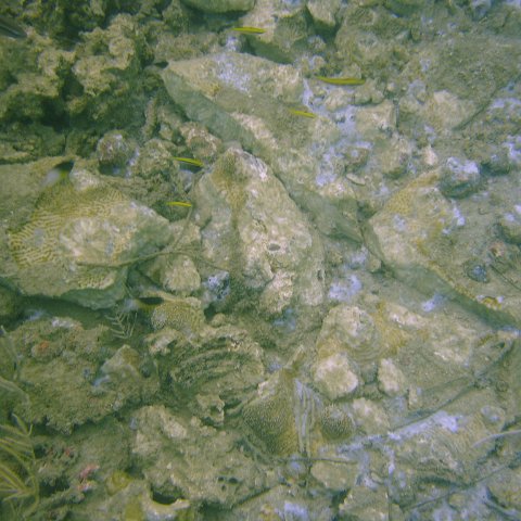 DSC05634 DSC05634