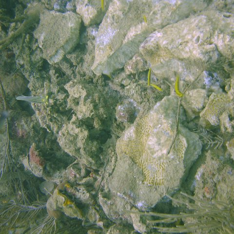 DSC05635 DSC05635