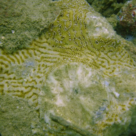 DSC05639 DSC05639
