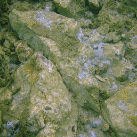 DSC05640 DSC05640