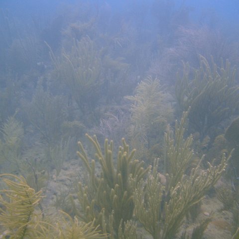 DSC05641 DSC05641