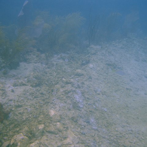 DSC05642 DSC05642