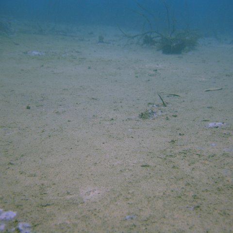 DSC05643 DSC05643