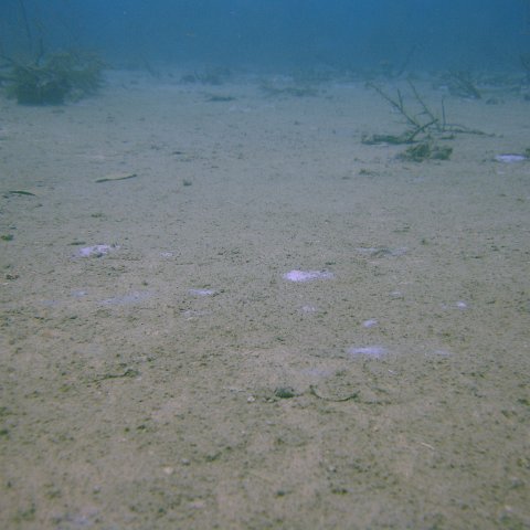 DSC05644 DSC05644