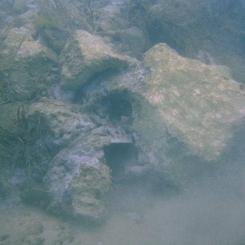 DSC05647 DSC05647
