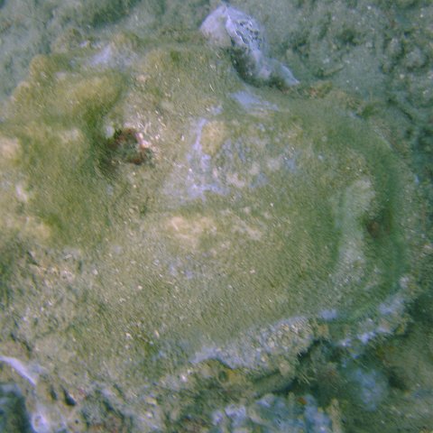 DSC05648 DSC05648