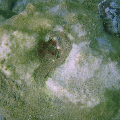 DSC05649 DSC05649