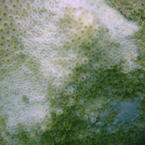 DSC05650 DSC05650