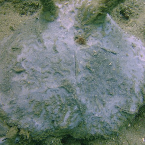 DSC05653 DSC05653