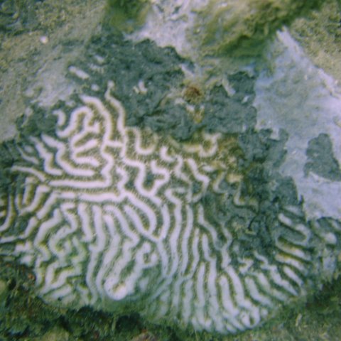 DSC05654 DSC05654