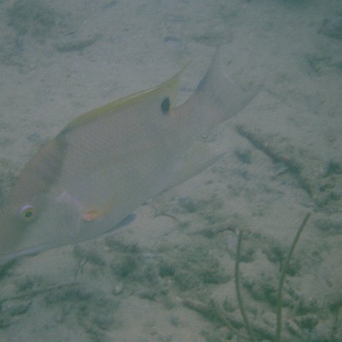 DSC05656 DSC05656