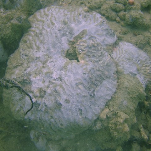 DSC05657 DSC05657