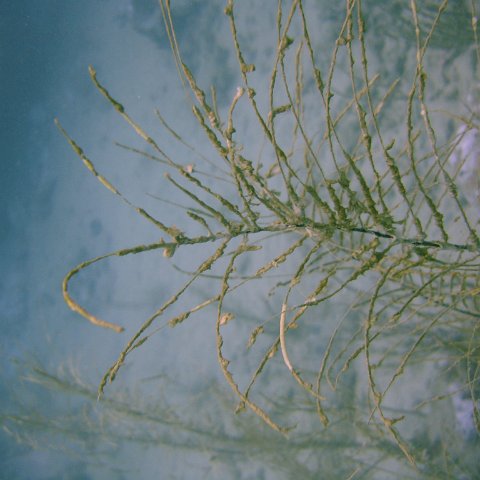 DSC05660 DSC05660