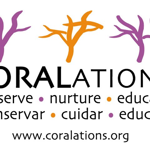 CORALations.LOGO