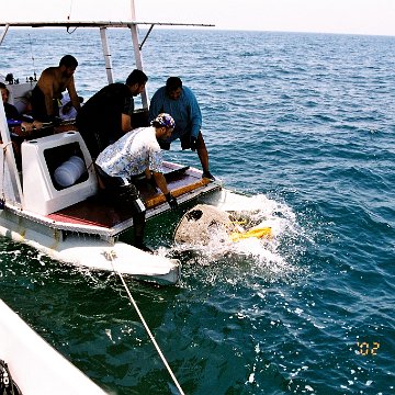 Katar da insan gücü ile denize indirilen reef-ball ler