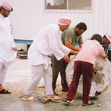 qatar6 qatar6