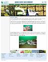 QatarFertilizerCompanyReefBallProject