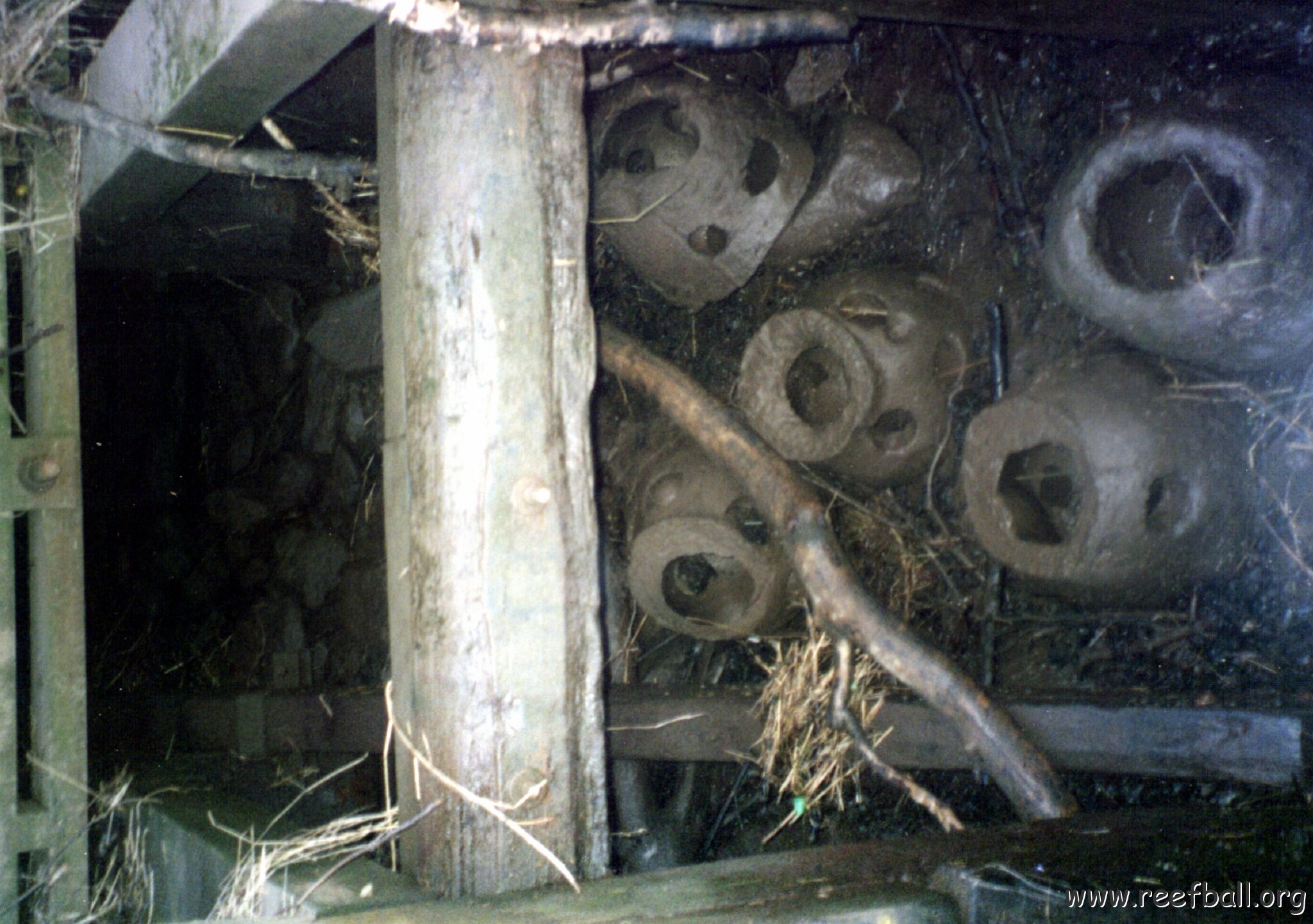 the_nest