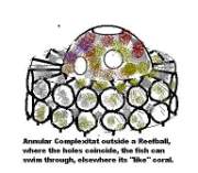 reefballdomes