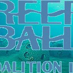reefballcoalition