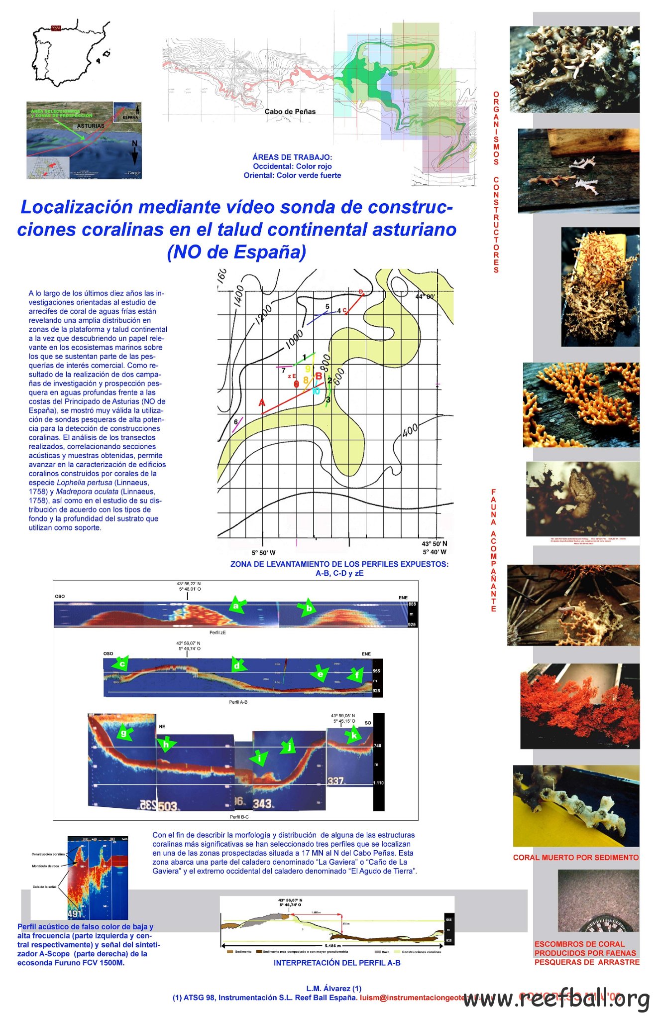 Poster Deep Coral Reef Asturias fin