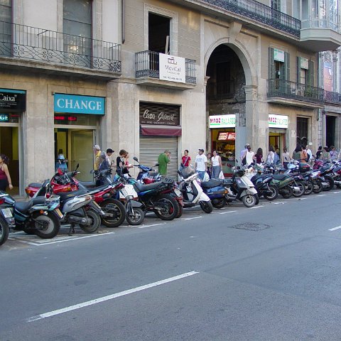 DSC03523 DSC03523