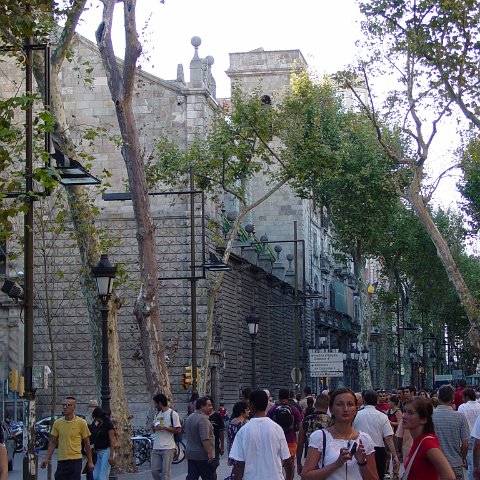 DSC03524 DSC03524