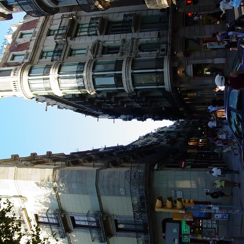DSC03531 DSC03531